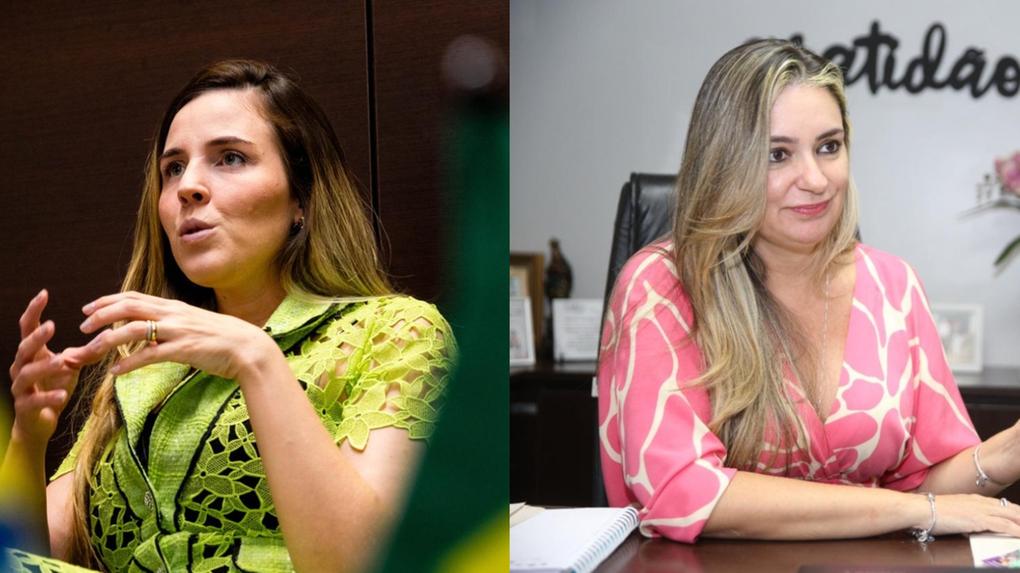 No Ceará, os alvos das fraudes foram a governadora em exercício Jade Romero e a senadora Augusta Brito, que tiveram os nomes e as imagens utilizadas pelos criminosos