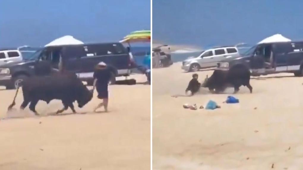 Touro ataca banhistas em praia no México