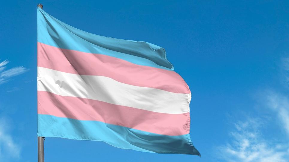 Bandeira que representa pessoas trans