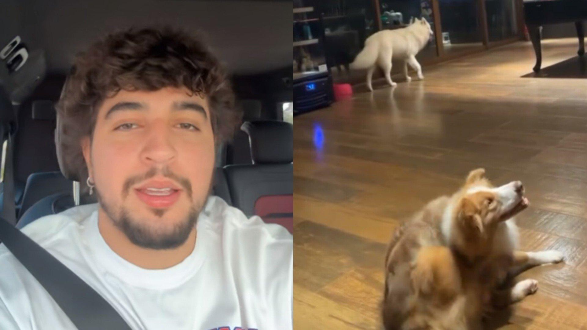 Nattan falou sobre cães em programa de TV