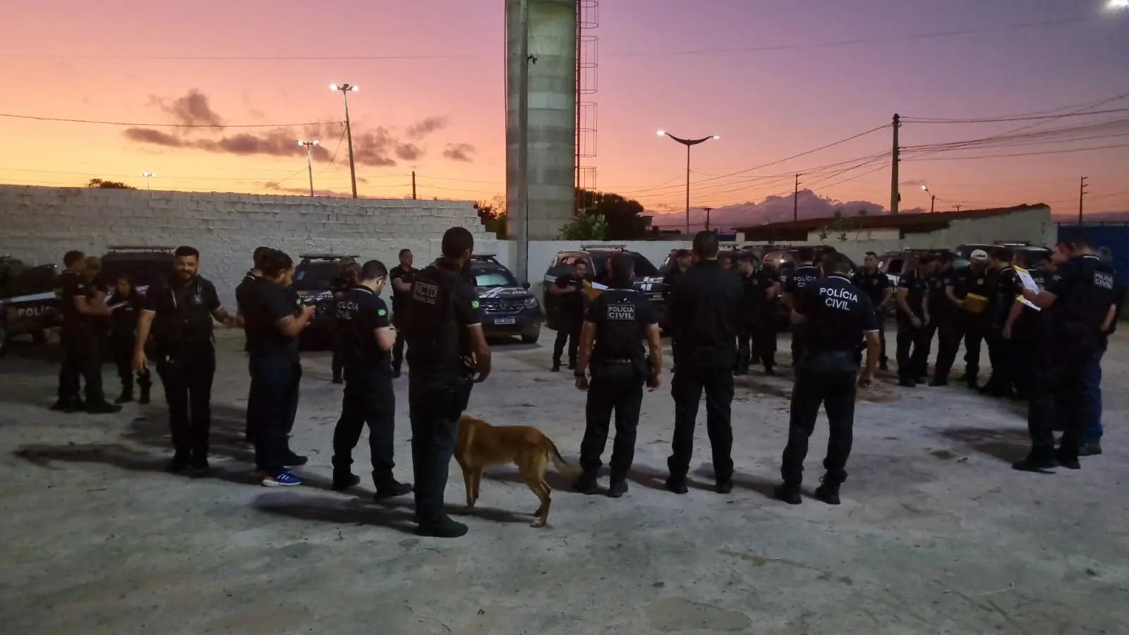 capa da noticia