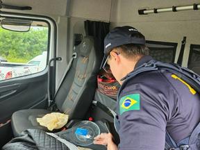 Policial da PRF vistoriando caminhão de motorista que dirigia há 24h ininterruptas em estradas federais