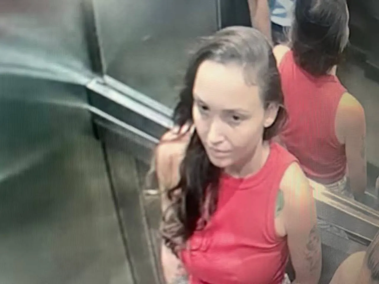 Segundo a polícia, Júlia Andrade Cathermol Pimenta, namorada do empresário, comprou um remédio de uso controlado nove dias antes da última aparição de Luiz vivo