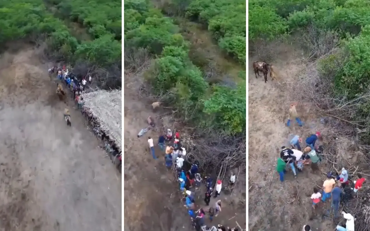 Vaquejada no interior do Ceará