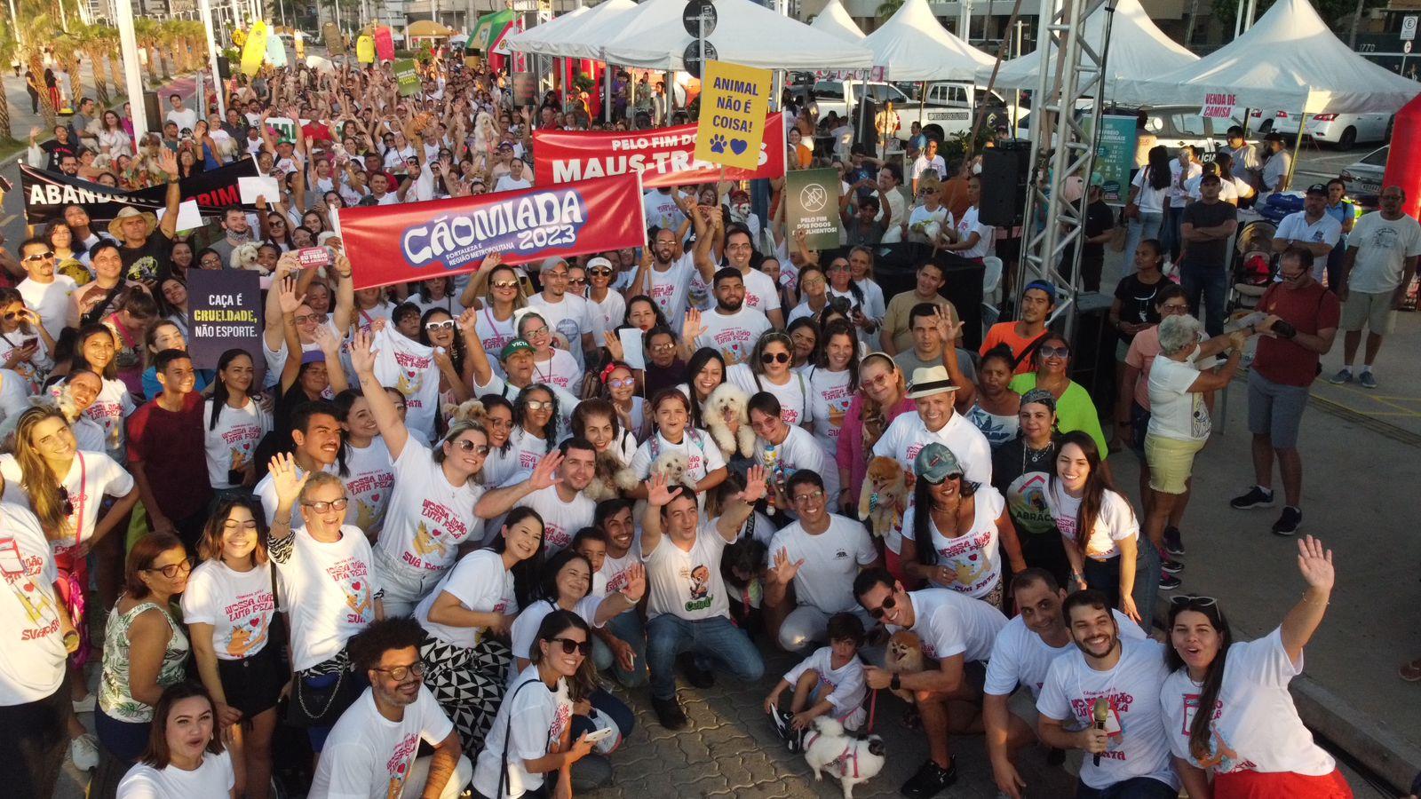 pessoas reunidas em caminhada por abrigos de animais