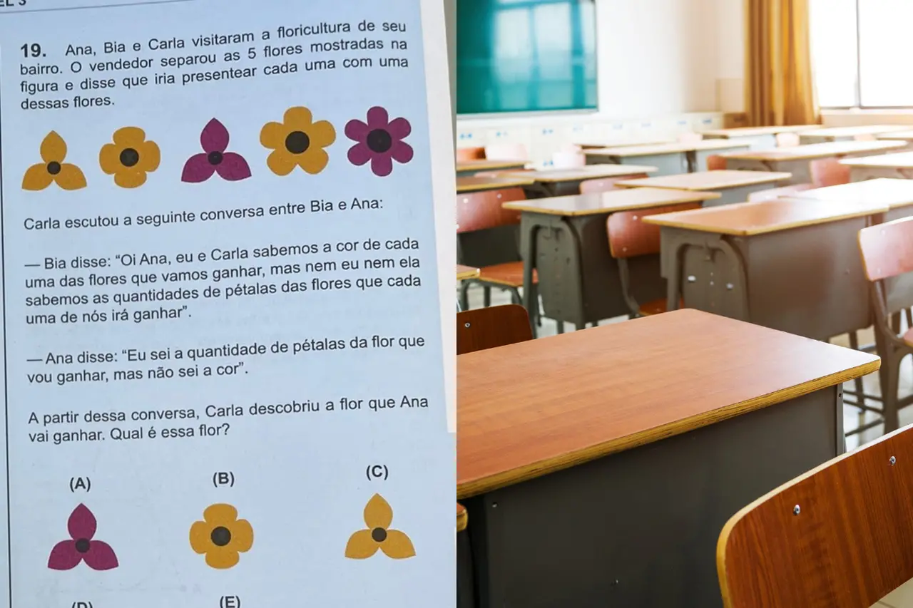 QUESTÃO DA OBMEP SOBRE A FLOR