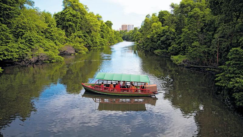 Passeio de barco pelo Rio Cocó, em Fortaleza