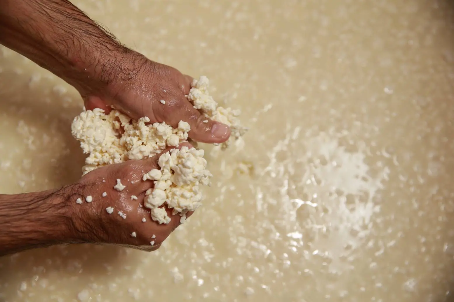 Produção de queijo no Ceará