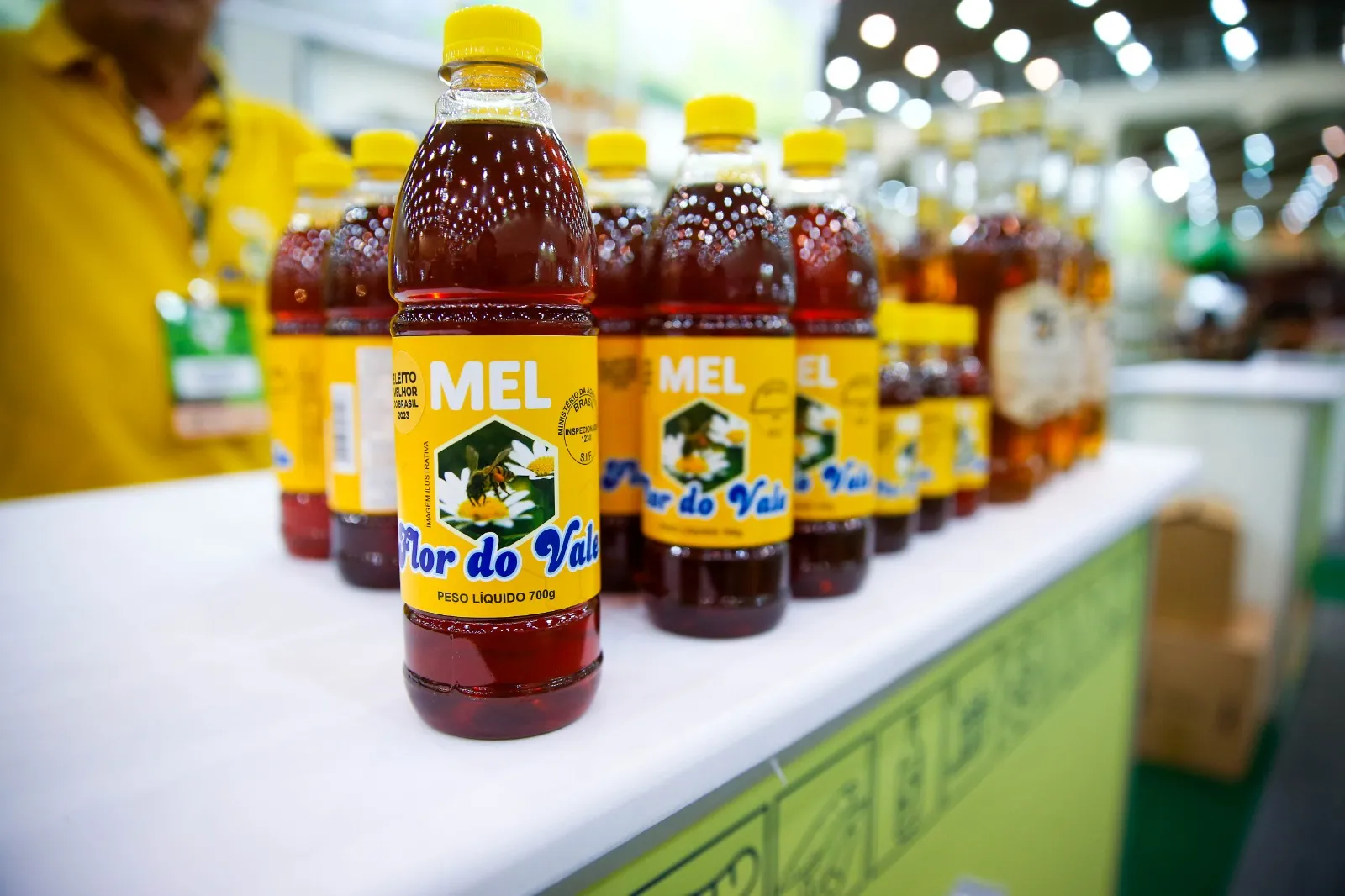 Mel de abelha é um dos principais produtos do Ceará