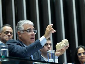 Eduardo Girão segura feto de plástico enquanto discursa no Senado