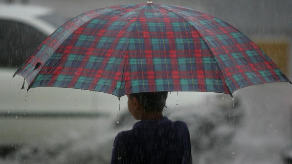 Pessoa de costas, com guarda-chuvas