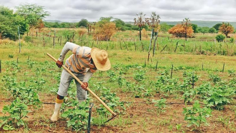 Agricultura