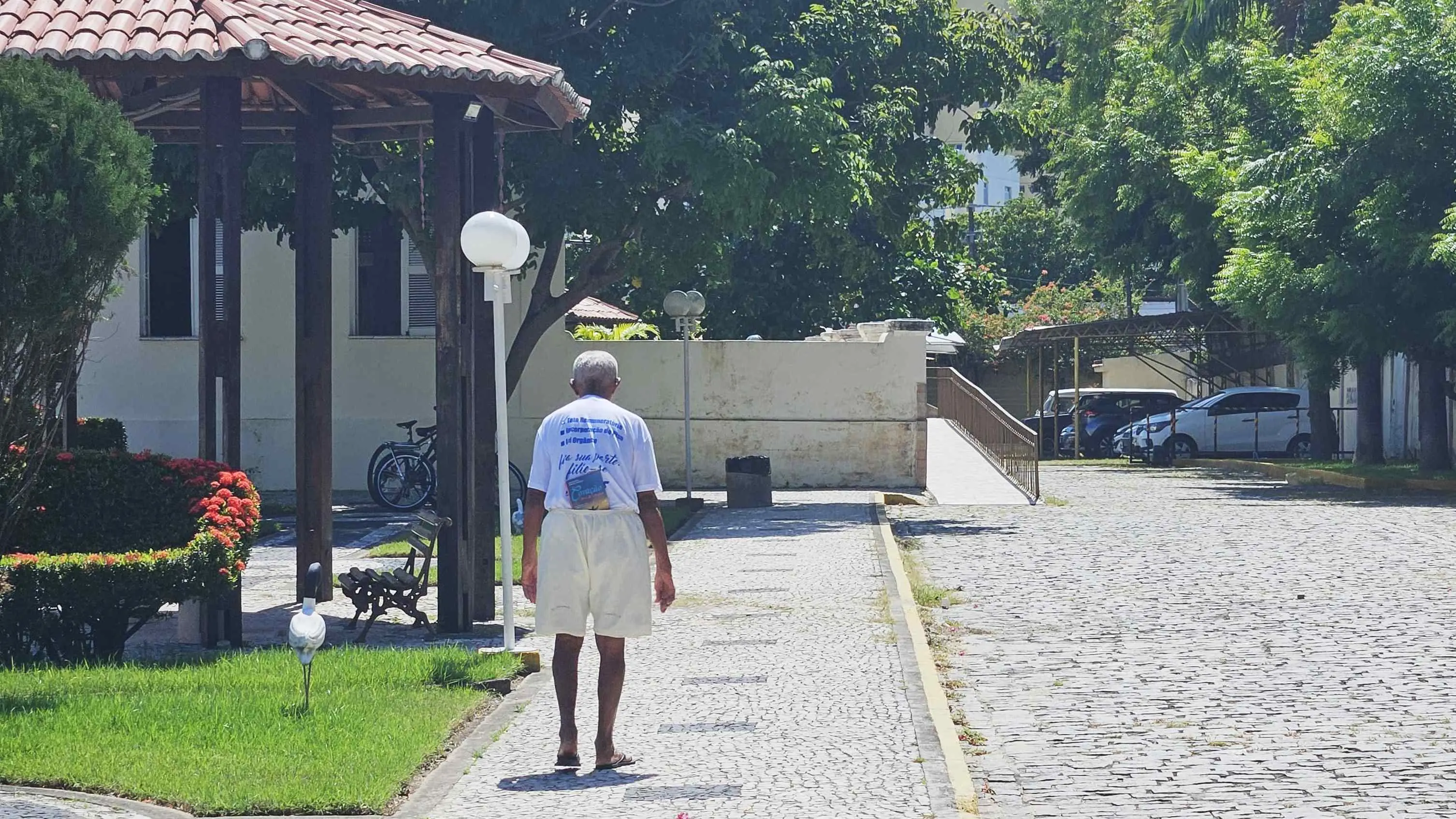 Idoso caminhando em jardim