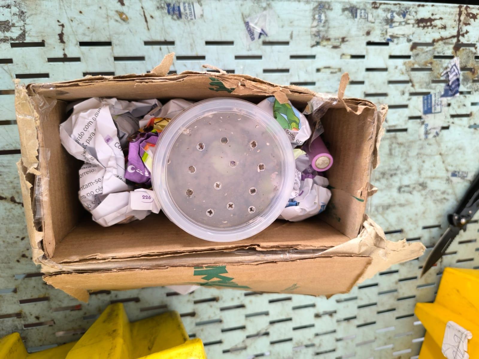 Animal foi apreendido em vasilha de plástico