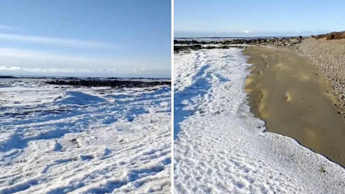 capa da noticia