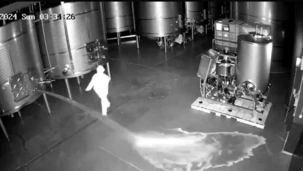 Captura de tela de câmera de segurança mostrando mulher invadindo vinícola e sabotando barris
