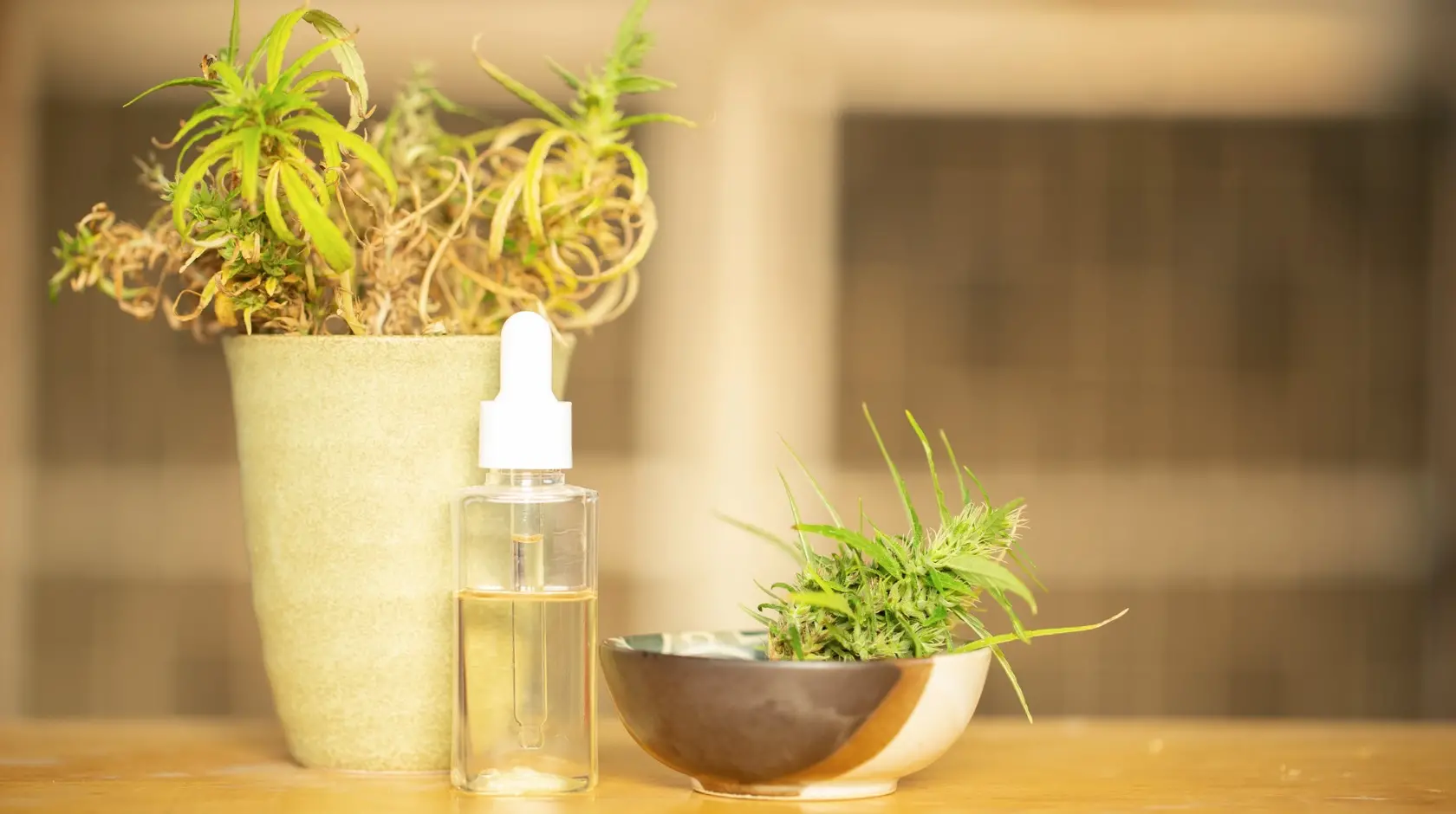 A assistida procurou a Defensoria porque precisava fazer uso regular de canabidiol