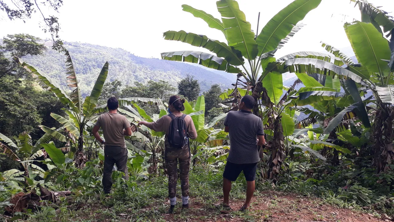 Pesquisadores contam com o apoio de moradores locais para encontrar novos exemplares da espécie