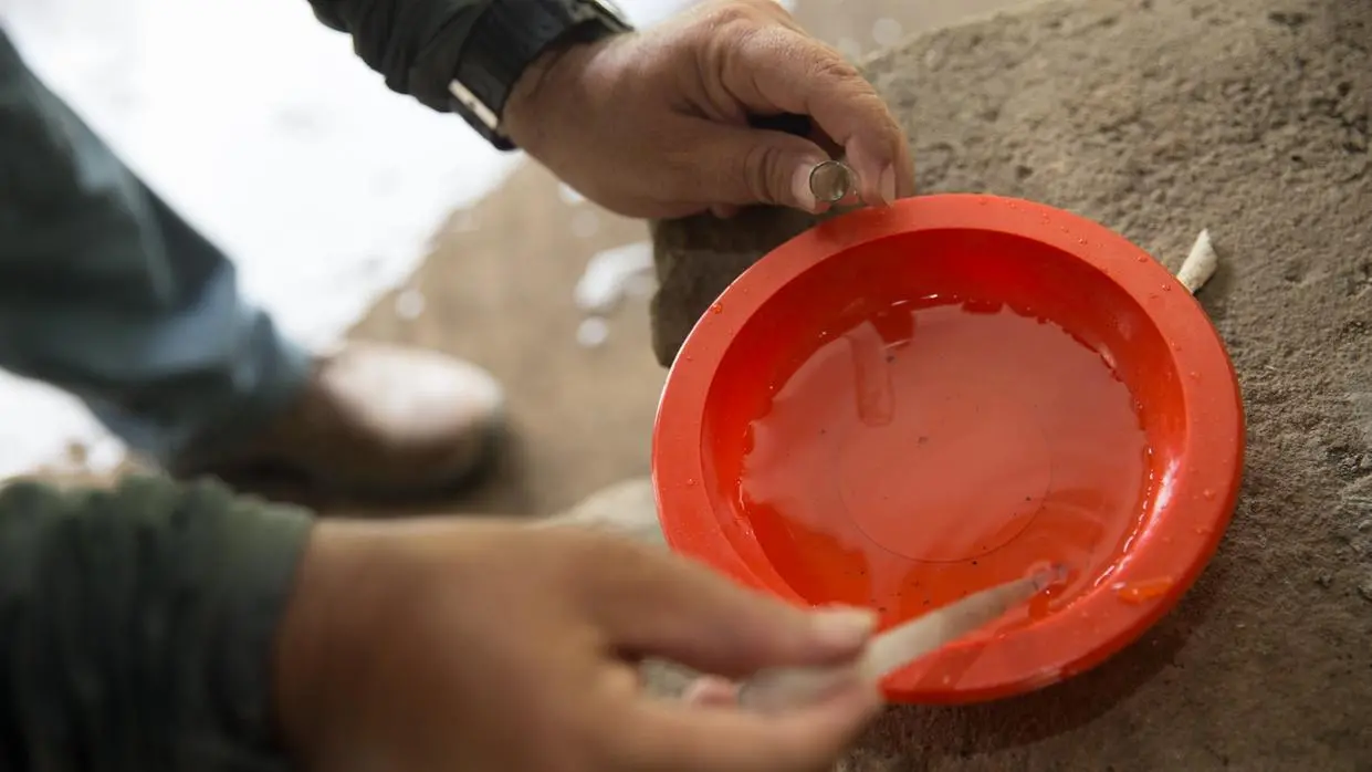 Evitar acúmulo de água parada é uma das principais formas de combater a doença