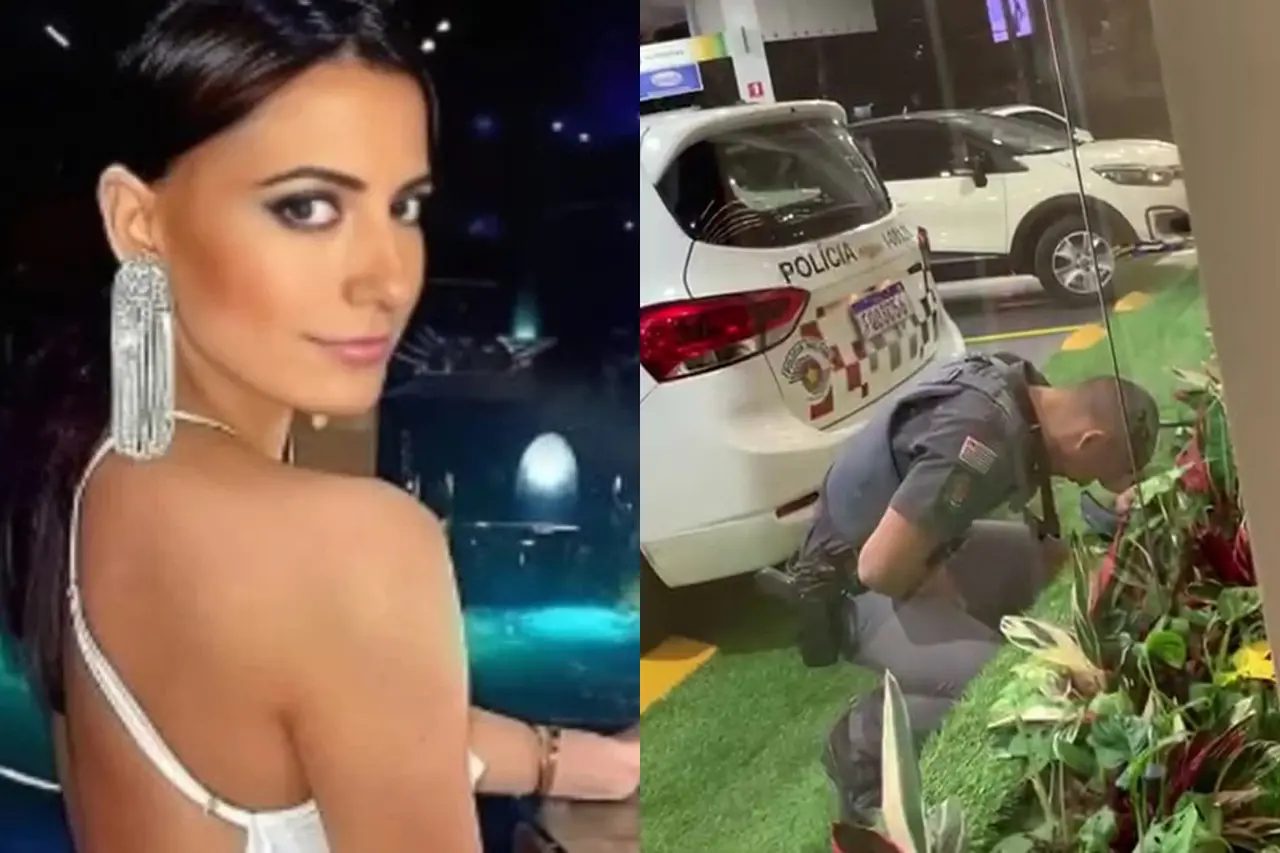 Montagem de fotos da ex-panicat Ana Paula Leme, que chutou um policial em São Paulo ao ser presa