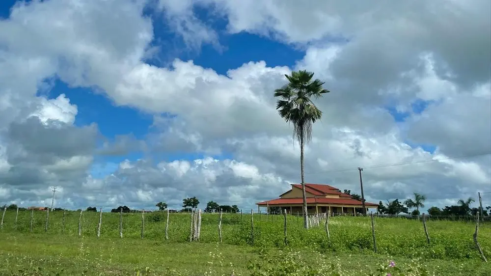 Paisagem no interior do Ceará