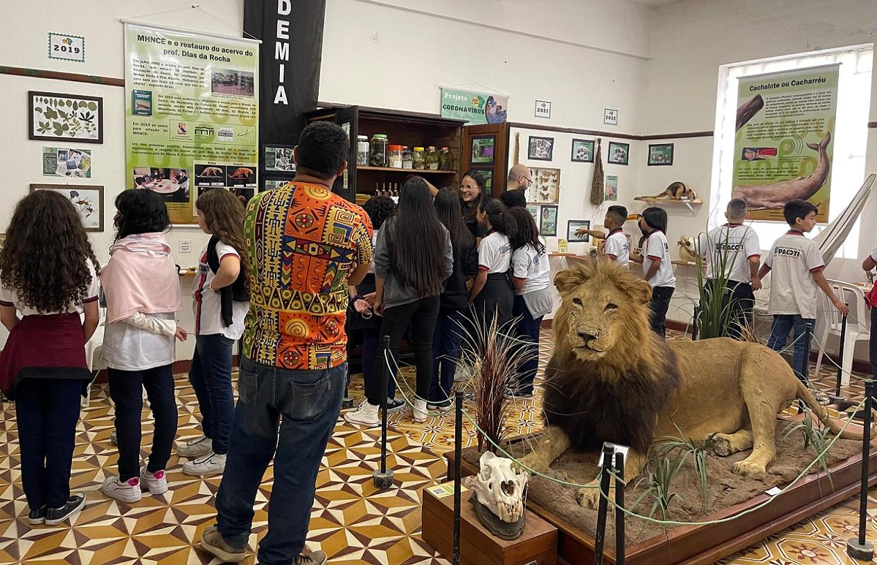 sala de museu no Ceará com diversos animais empalhados, incluindo um leão, aves, jacaré e cobra