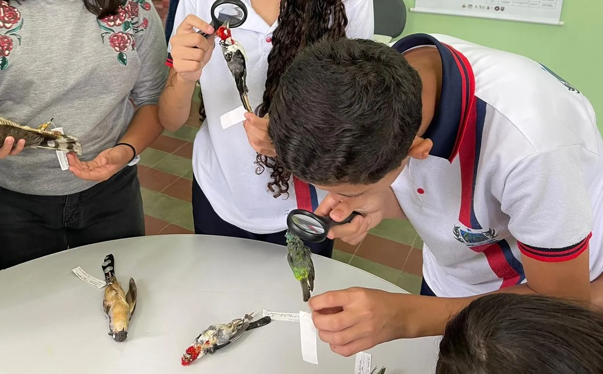 No local, estudantes e visitantes têm oportunidade de entrar em contato próximo com alguns espécimes