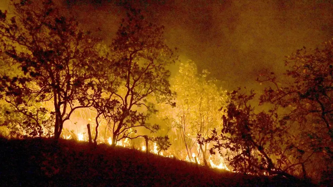 capa da noticia