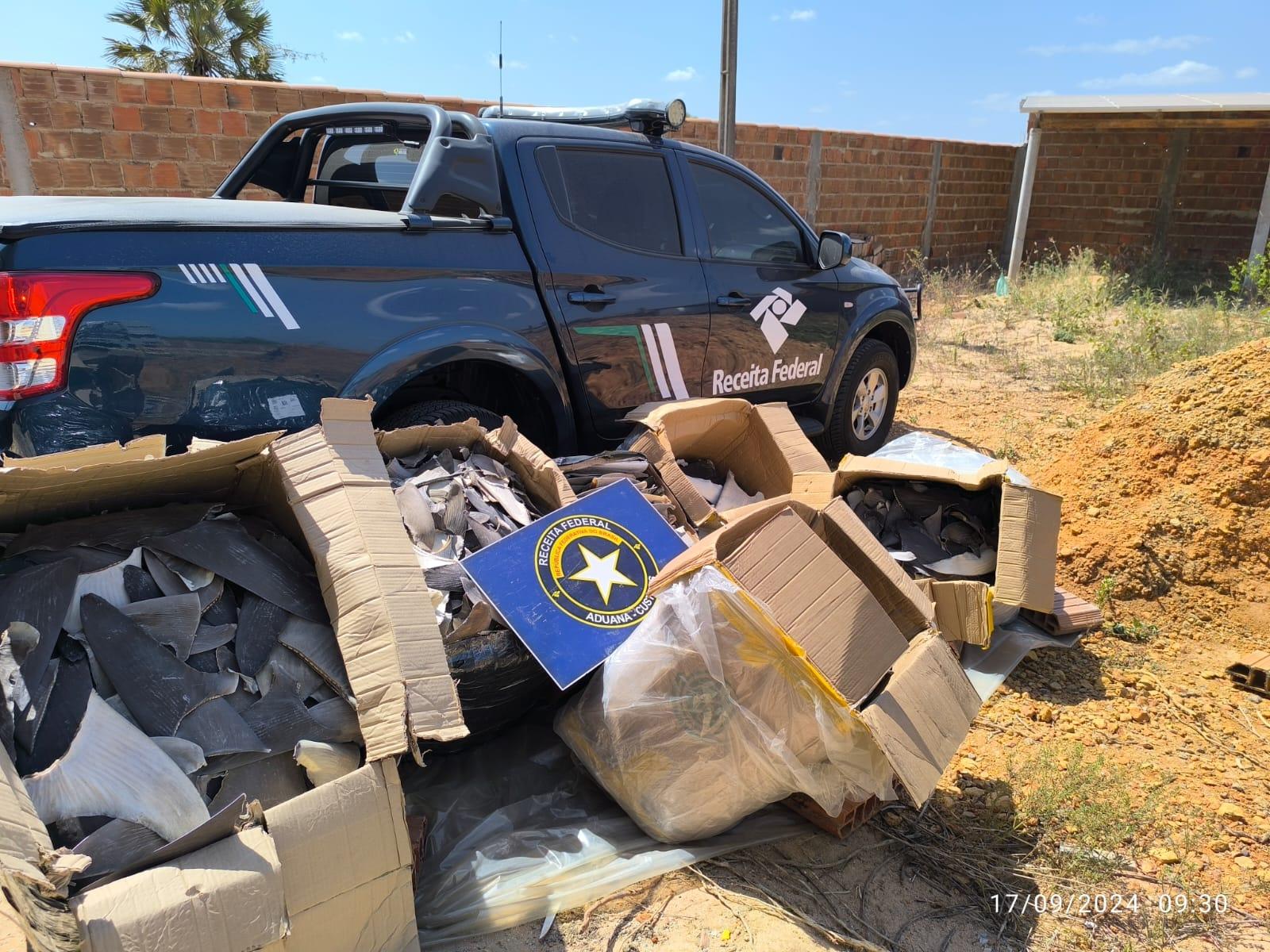 imagem mostra camionete da receita federal com caixas contendo barbatanas de tubarões em um quintal