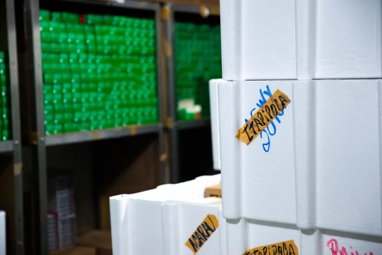 Caixas de vacinas para municípios do Ceará