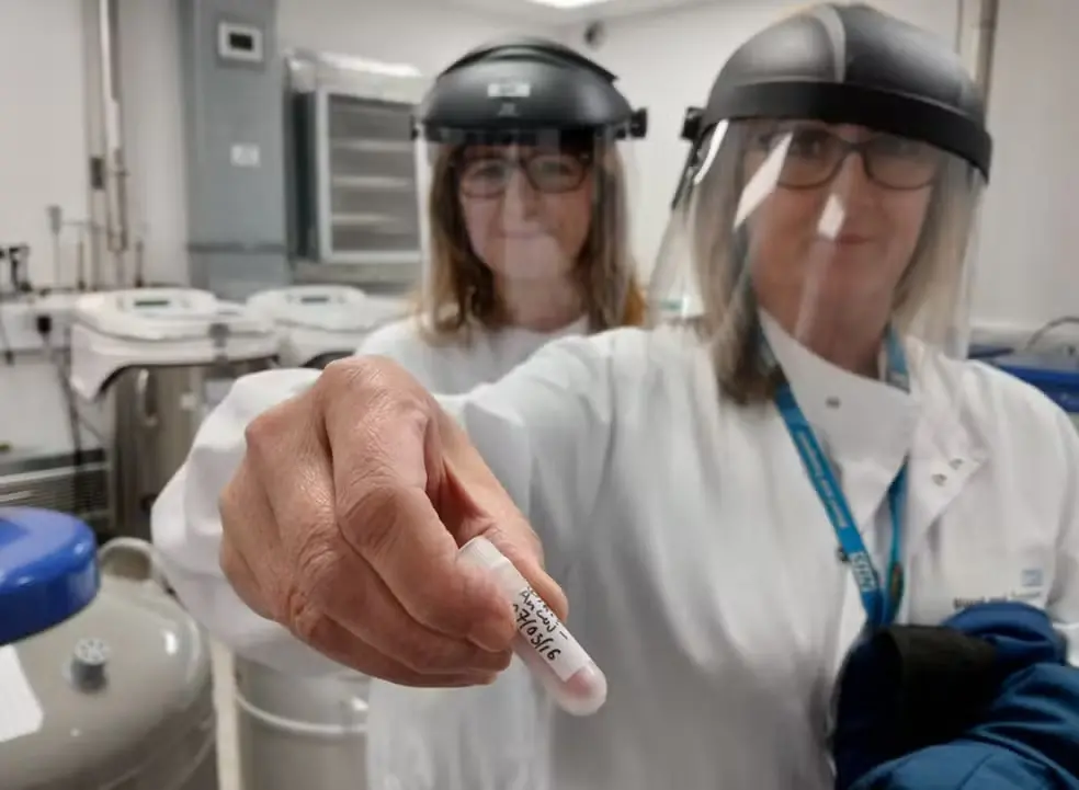 Pesquisadoras britânicas