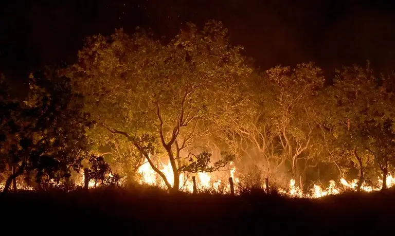Incêndios no Brasil