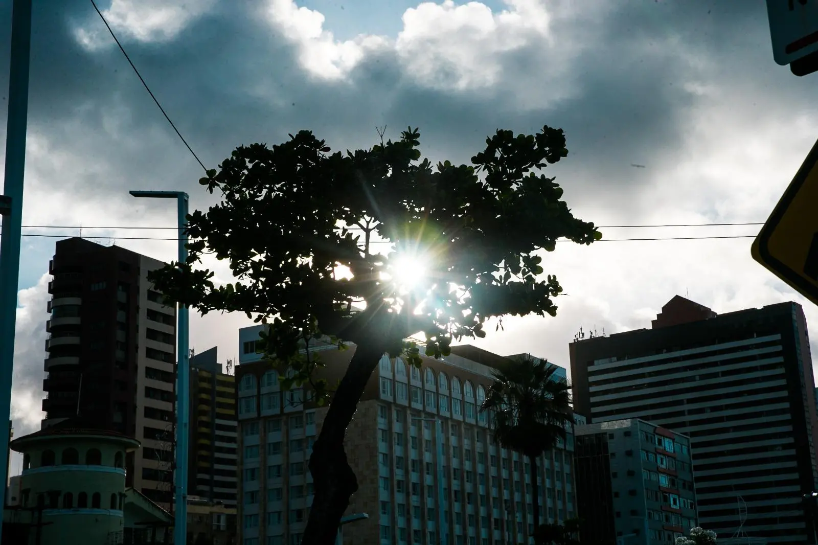 Foto de mulher com sombrinha caminhando em rua diante de sol forte