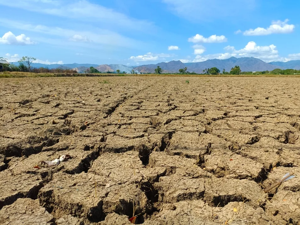 Terra seca e rachada pode estar relacionada com seca severa e condições áridas