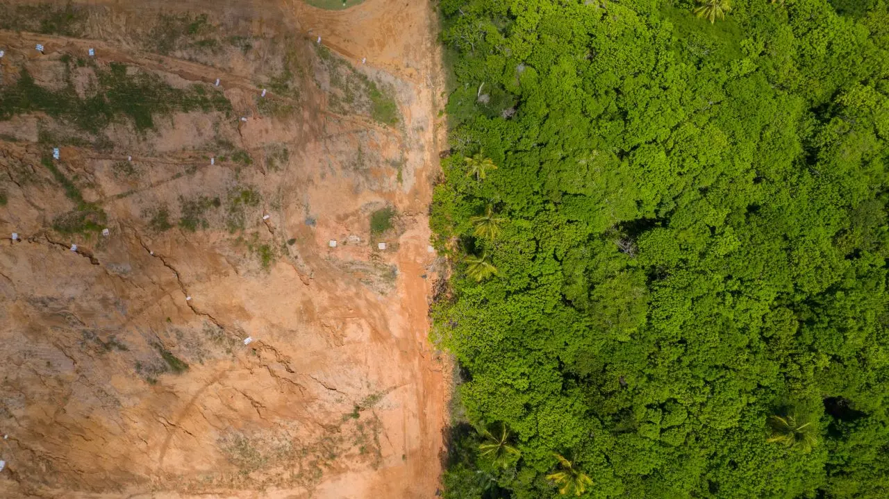 imagem aérea mostrando lado desmatado e lado de floresta verde