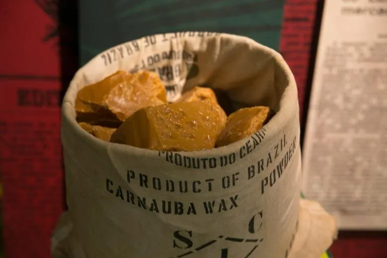 Cera de carnaúba é usada na fabricação de cosméticos, remédios e também na casca de algumas frutas destinadas à exportação