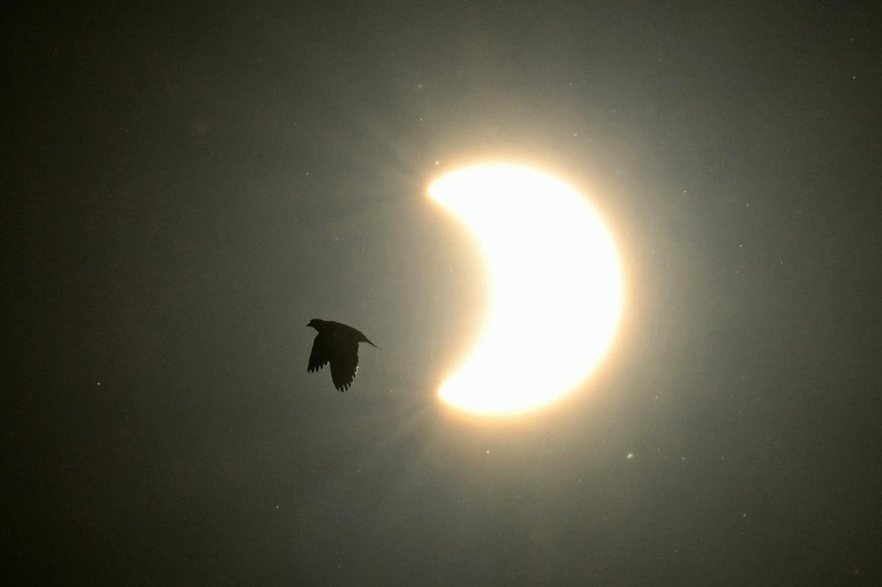 Vista parcial do eclipse anular solar em Buenos Aires, tirada em 2 de outubro de 2024