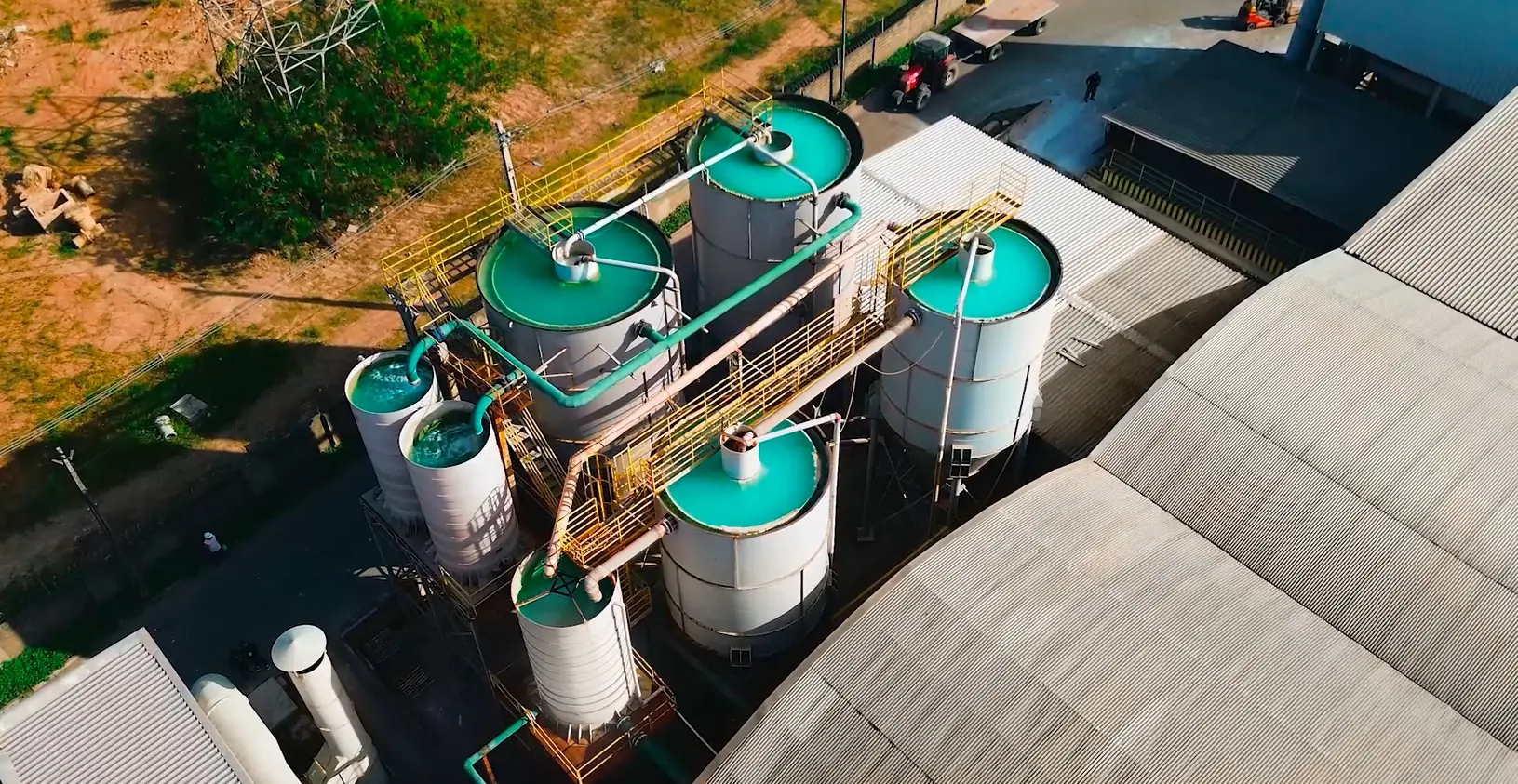 foto de planta da Cerbras