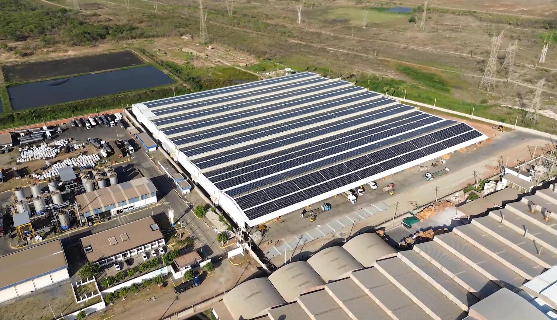 foto de planta da Cerbras