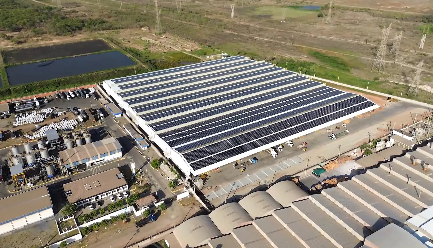 foto de planta da Cerbras