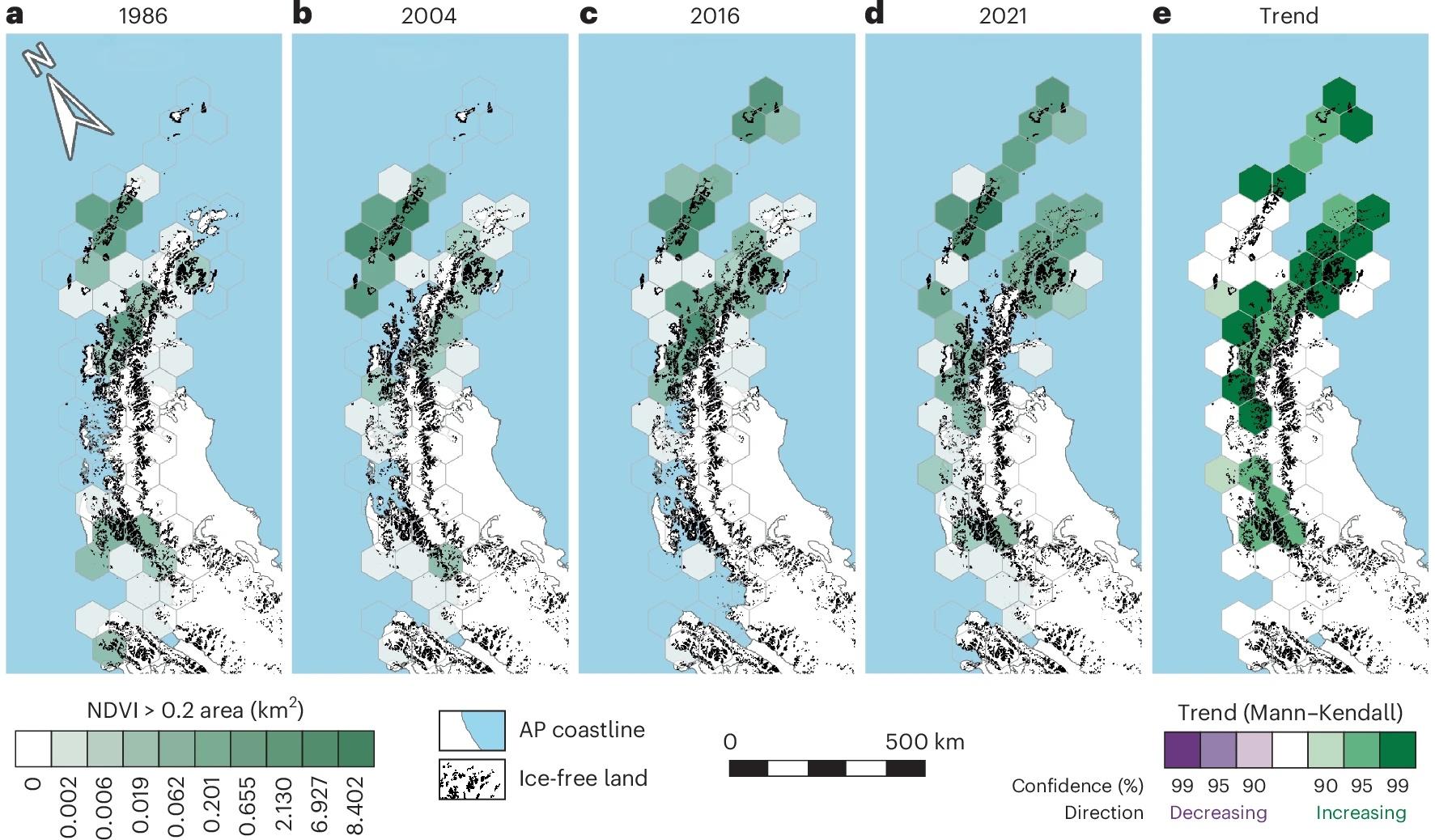 Mapa gráfico mostra avanço da vegetação na Antártida