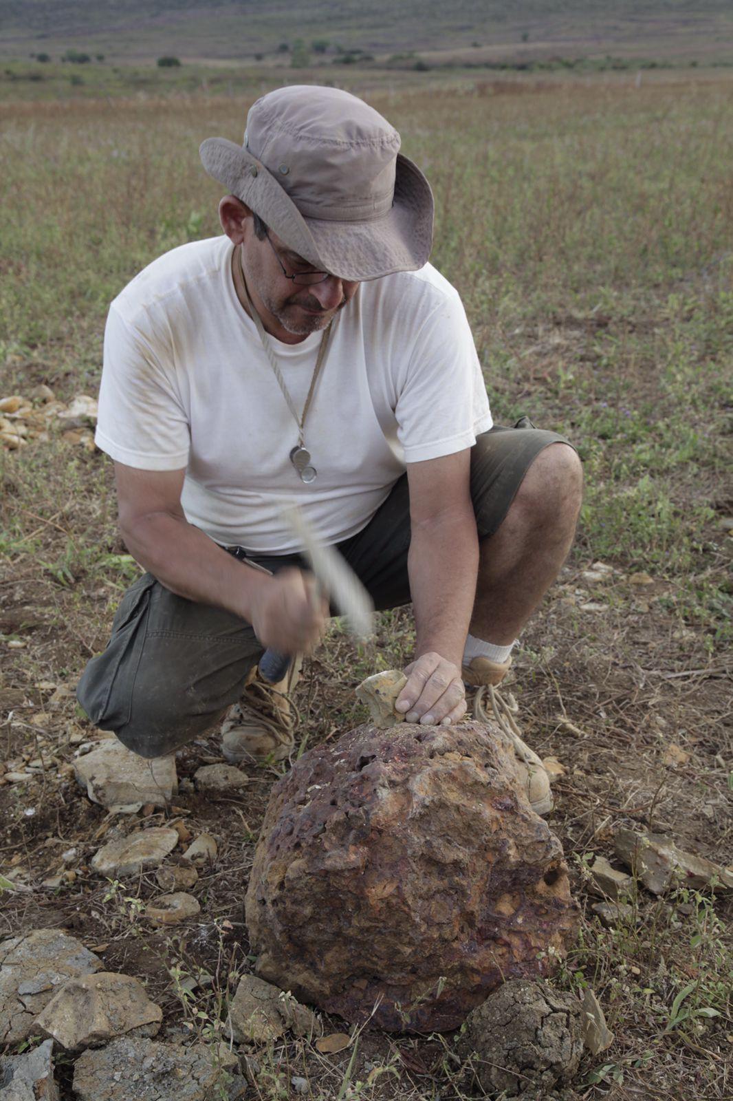 Álamo durante trabalho de campo