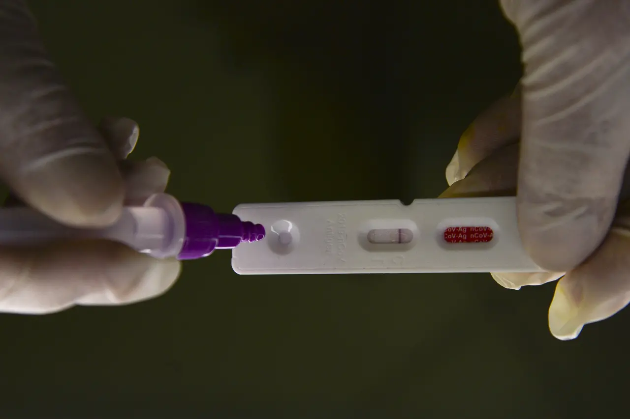 Teste rápido para covid. Nova variante da Covid-19, monitorada pela OMS, é identificada em três estados do Brasil