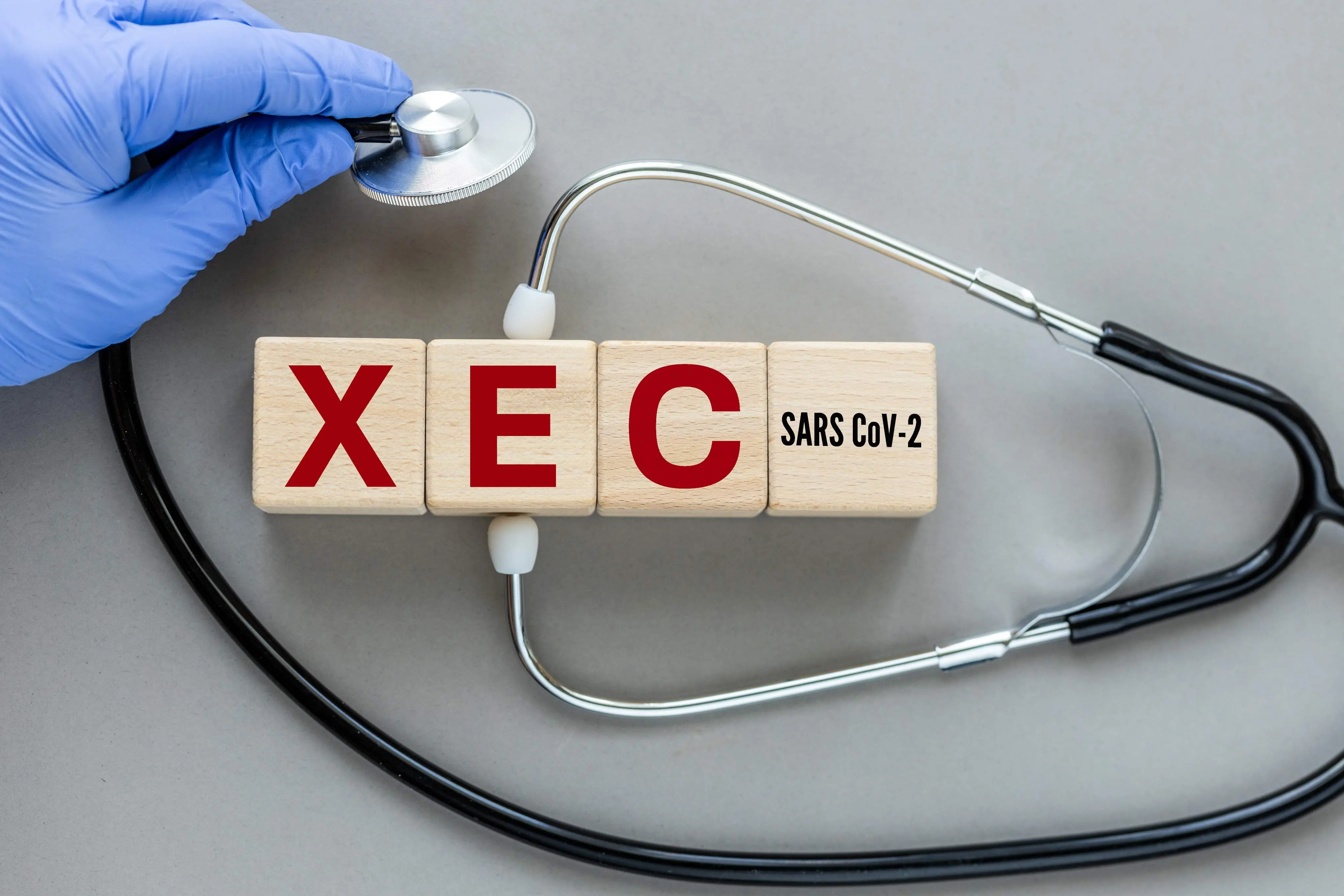 Variante da Covid-19