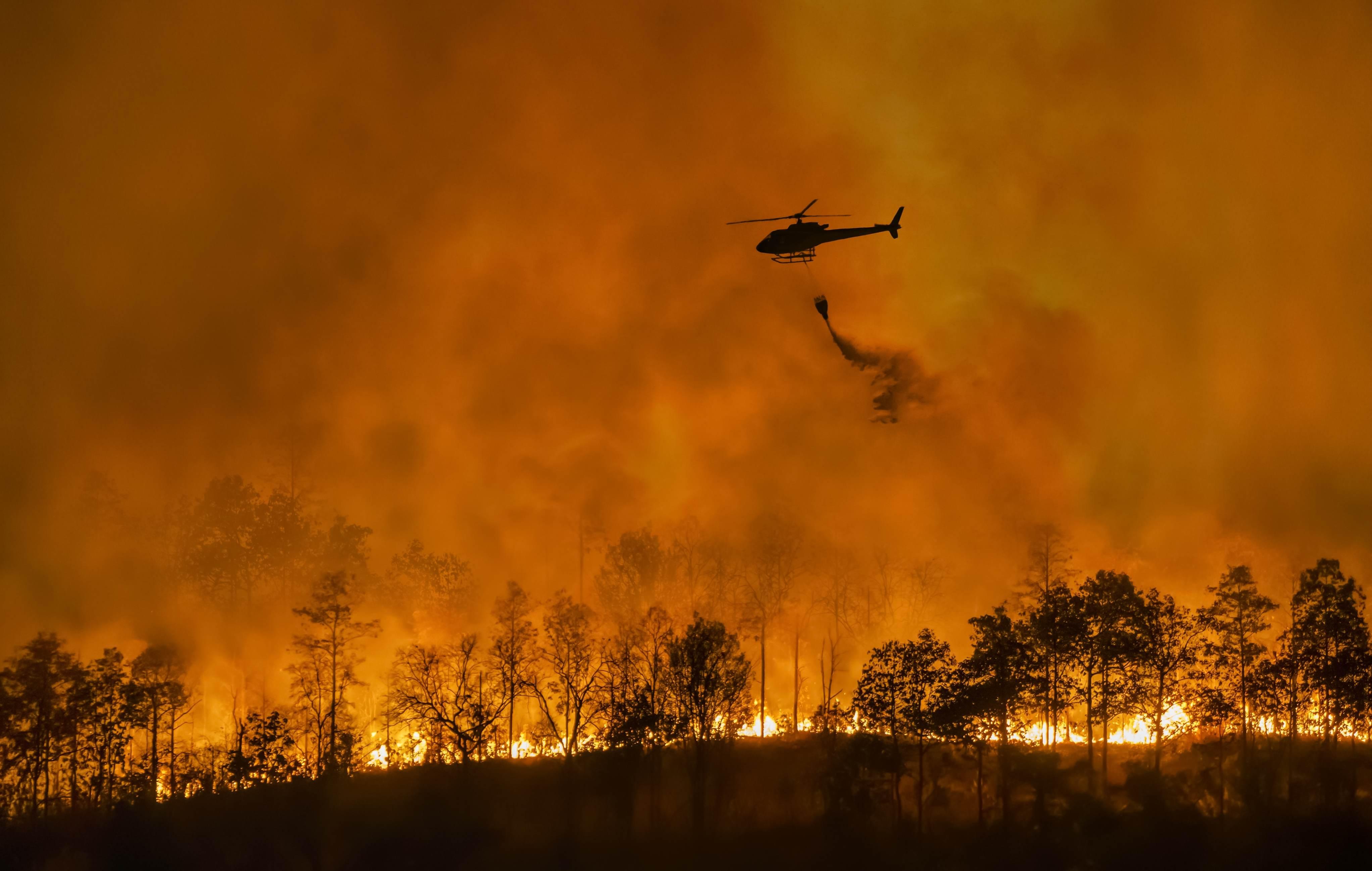 Incêndios florestais