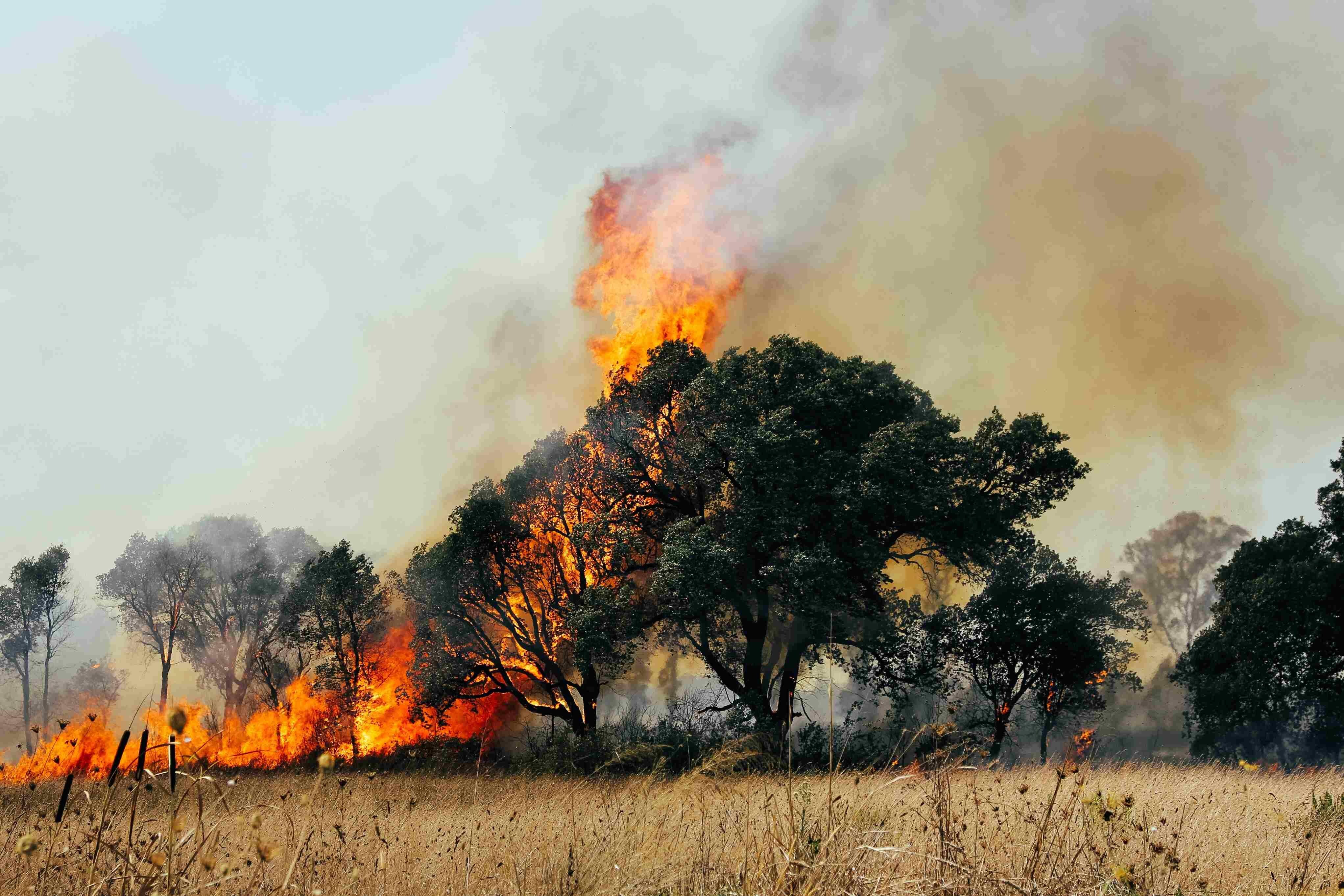 Região sendo afetada por incêndios