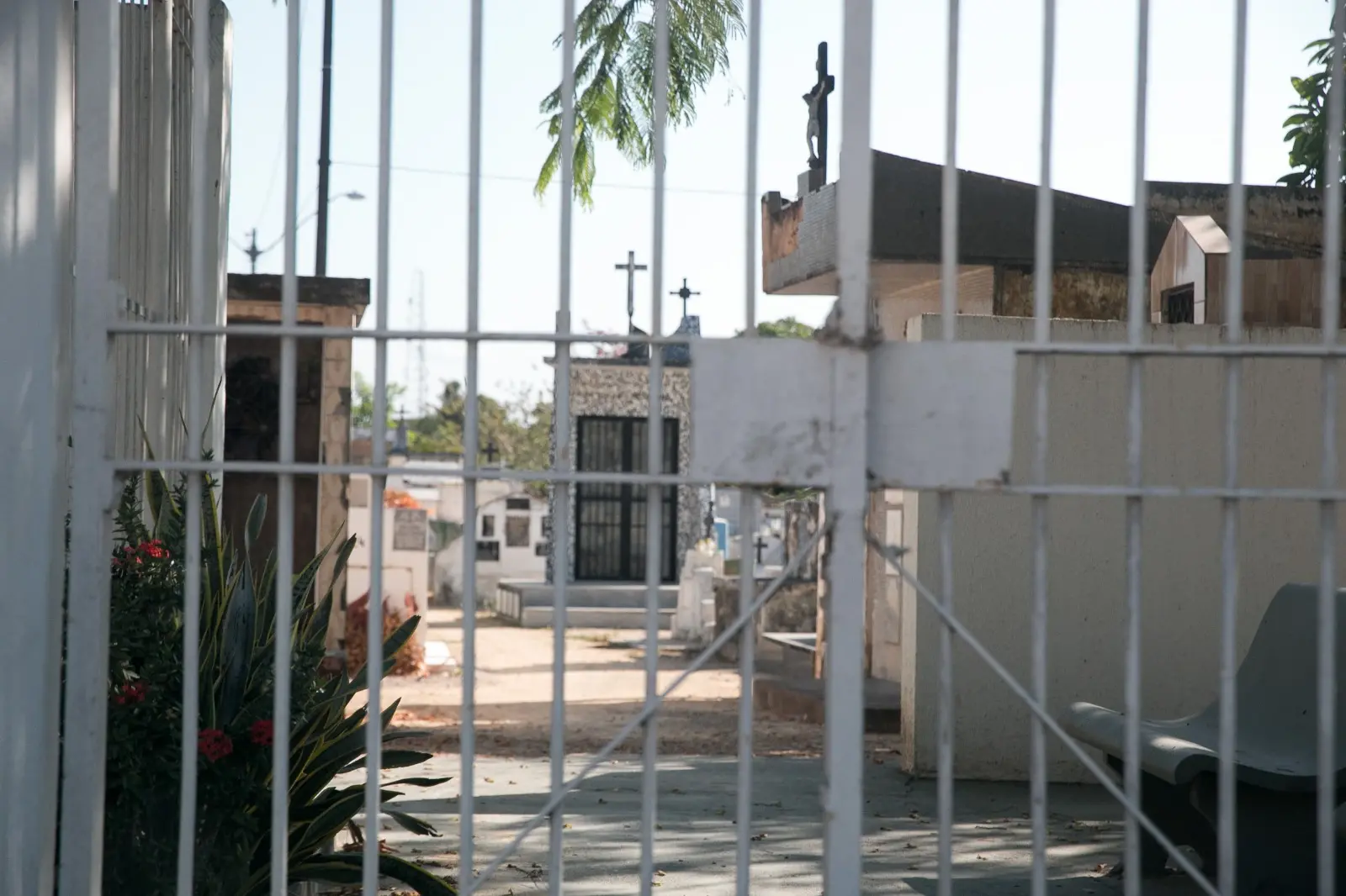 Drogas foram apreendidas pela Polícia Militar dentro do Cemitério Público da Messejana, no dia 27 de setembro deste ano