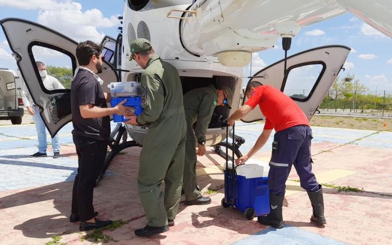 Profissionais carregam coolers com órgãos humanos para transplante