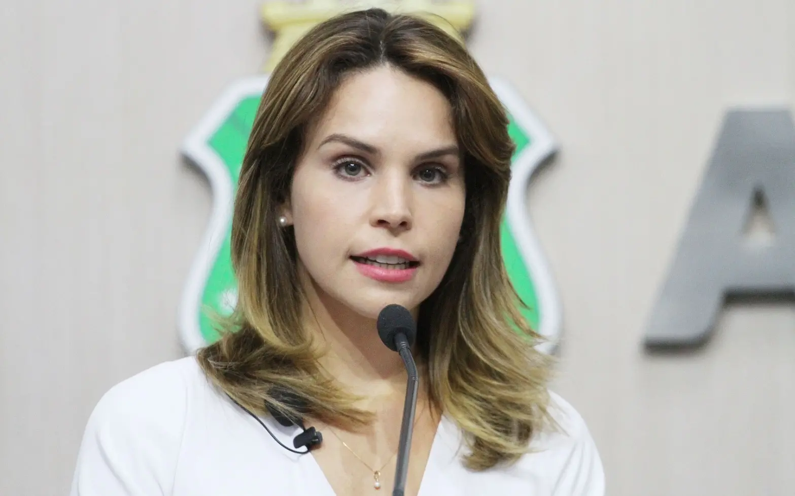 Gabriella Aguiar é uma mulher branca de cabelo loiro médio. Na foto, ela está de blusa branca discursando no plenário da Assembleia