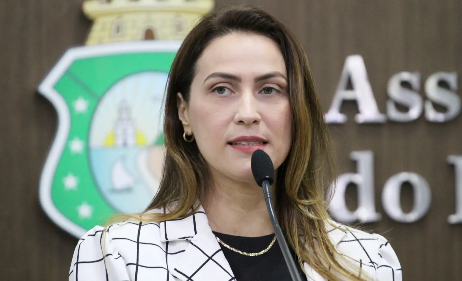 Érika Amorim é uma mulher branca de cabelo liso castanho claro. Na foto, ela está discursando no plenário da Alece, usando blusa preta com terninho quadriculado branco e preto
